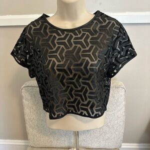 Tobi black sheer crop top
